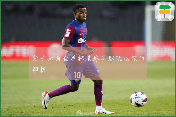 新手必看世界杯滚球买球玩法技巧解析