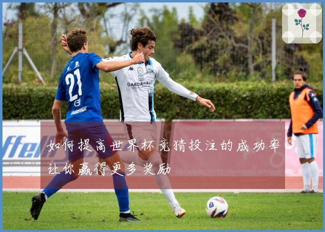如何提高世界杯竞猜投注的成功率让你赢得更多奖励