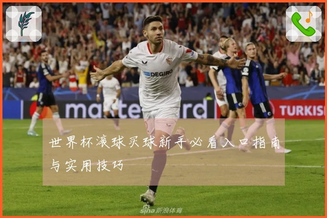 世界杯滚球买球新手必看入口指南与实用技巧