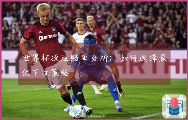 世界杯投注赔率分析：如何选择最优下注策略