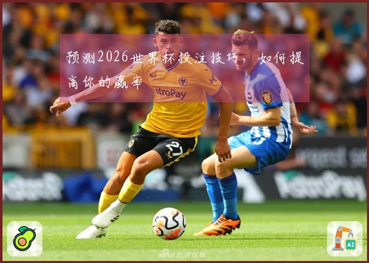 预测2026世界杯投注技巧，如何提高你的赢率