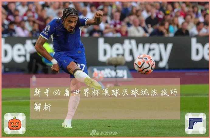 新手必看世界杯滚球买球玩法技巧解析