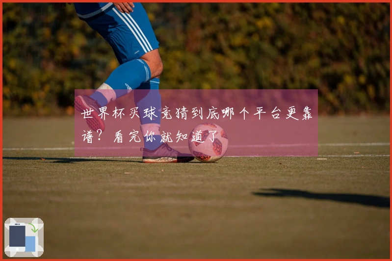 世界杯买球竞猜到底哪个平台更靠谱？看完你就知道了