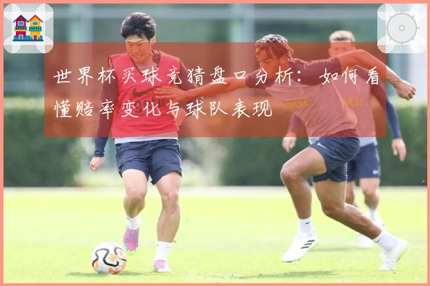 世界杯买球竞猜盘口分析：如何看懂赔率变化与球队表现