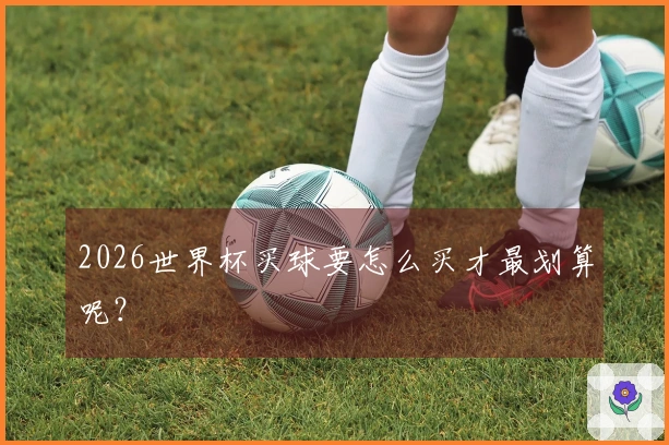 2026世界杯买球要怎么买才最划算呢？