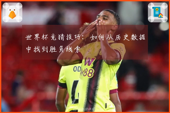 世界杯竞猜技巧：如何从历史数据中找到胜负线索