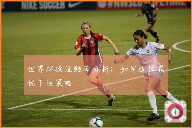 世界杯投注赔率分析：如何选择最优下注策略