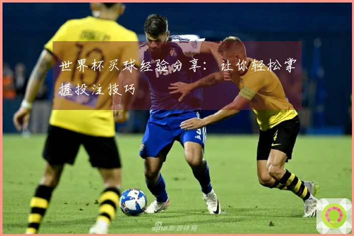 世界杯买球经验分享：让你轻松掌握投注技巧