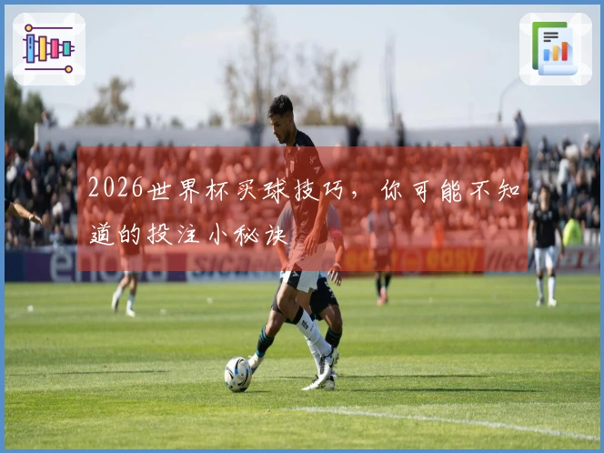 2026世界杯买球技巧，你可能不知道的投注小秘诀