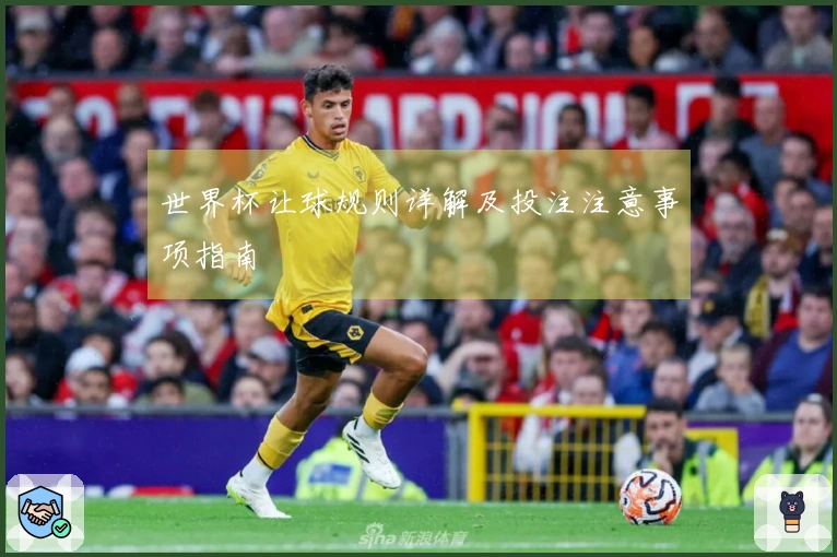 世界杯让球规则详解及投注注意事项指南
