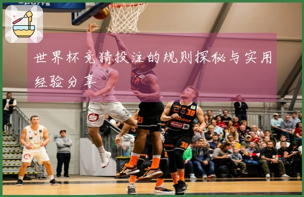 世界杯竞猜投注的规则探秘与实用经验分享