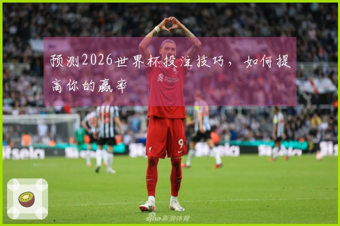 预测2026世界杯投注技巧，如何提高你的赢率