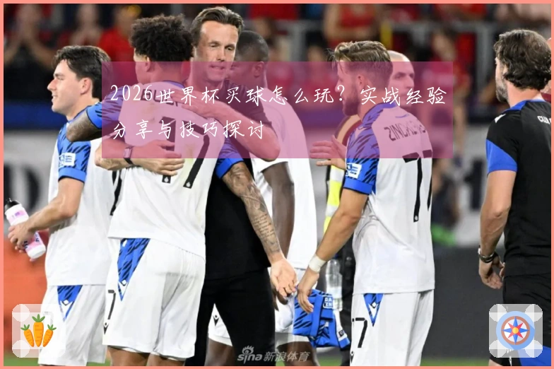 2026世界杯买球怎么玩？实战经验分享与技巧探讨