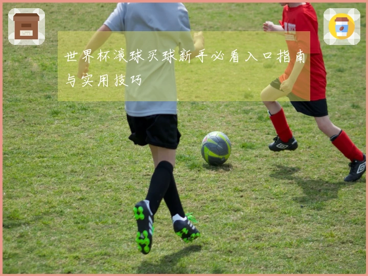 世界杯滚球买球新手必看入口指南与实用技巧