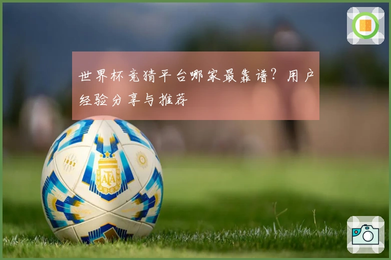 世界杯竞猜平台哪家最靠谱？用户经验分享与推荐
