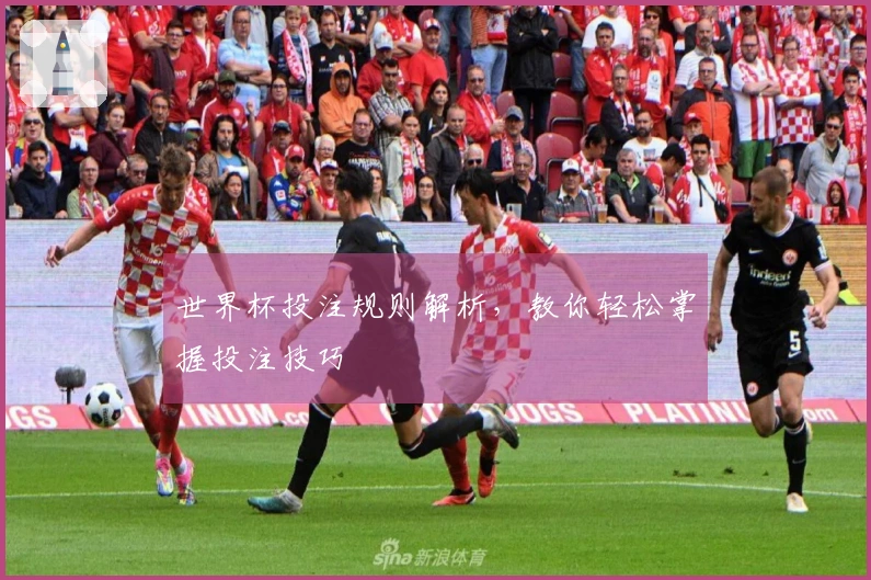世界杯投注规则解析，教你轻松掌握投注技巧