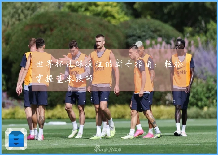 世界杯让球投注的新手指南，轻松掌握基本技巧